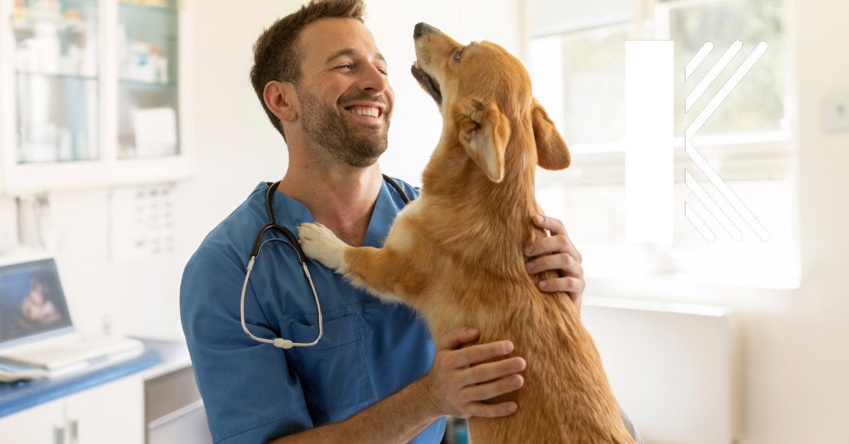 3 Veterinary Insurance Gaps That Could Cost You