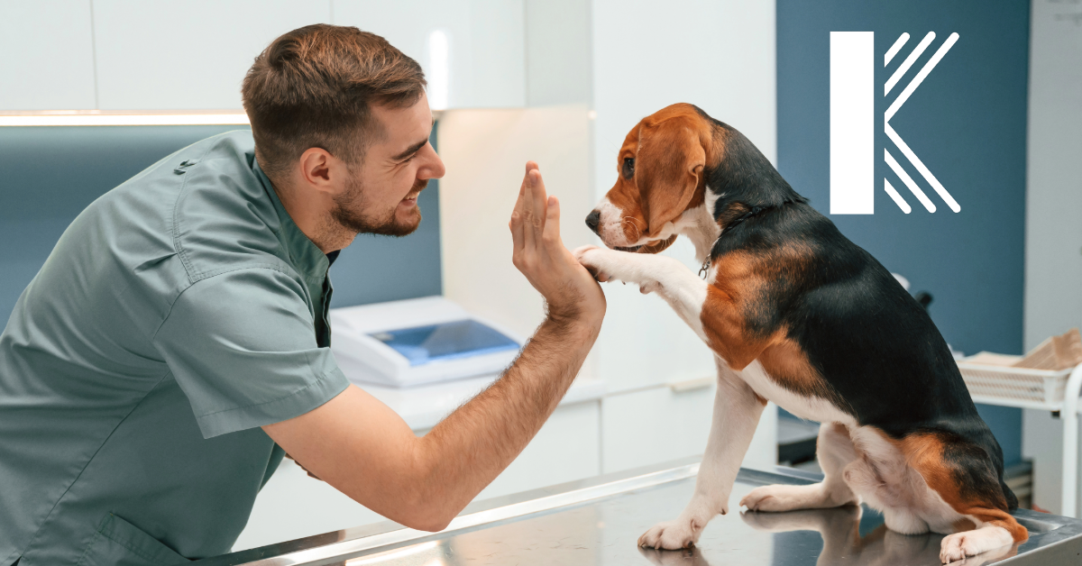 Do Veterinarians Need Professional Liability Insurance If They Already Have General Liability