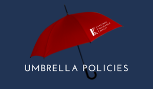 Why Should You Have an Umbrella Policy?