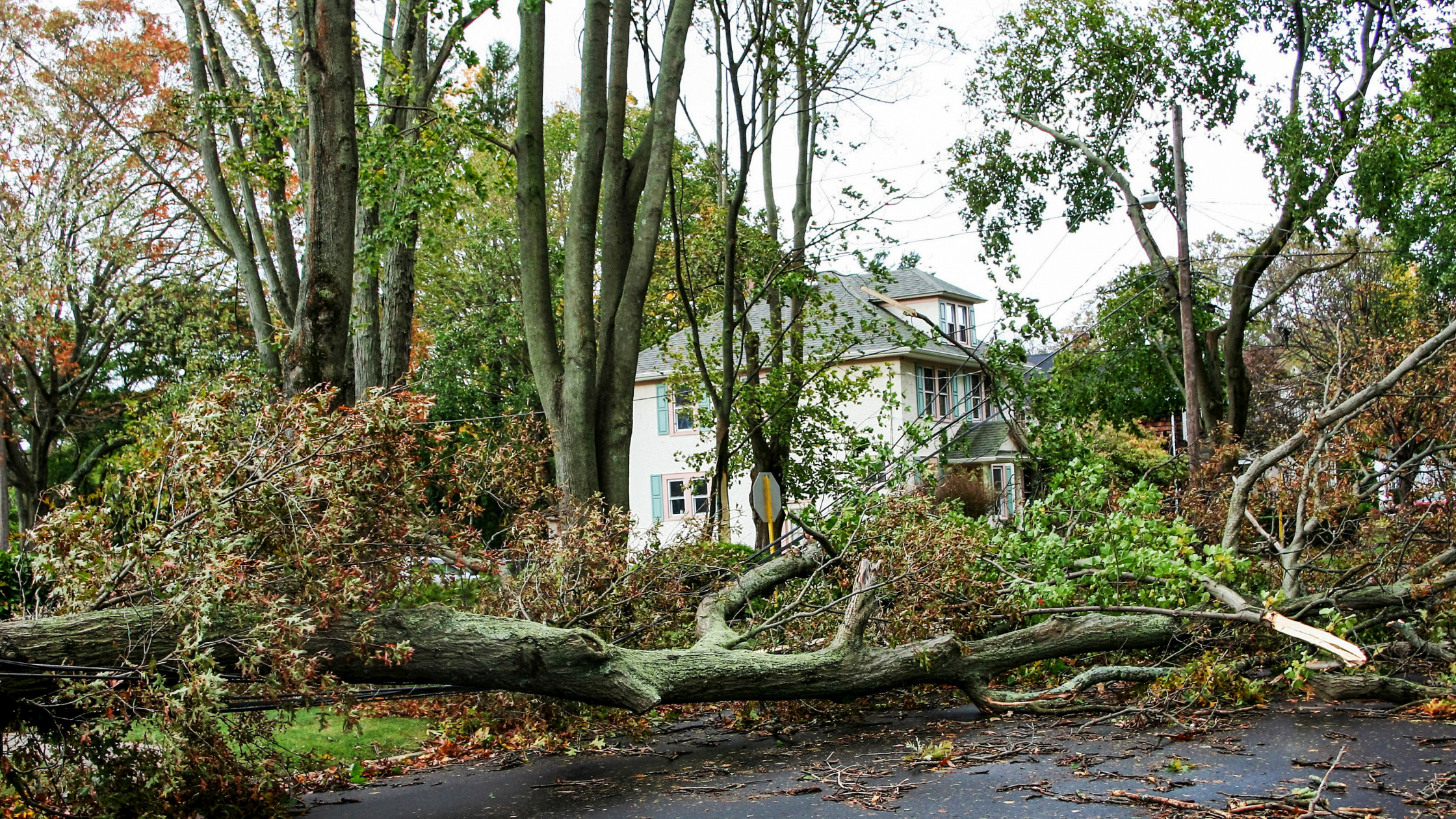 Before and After the Storm | Kastner Insurance