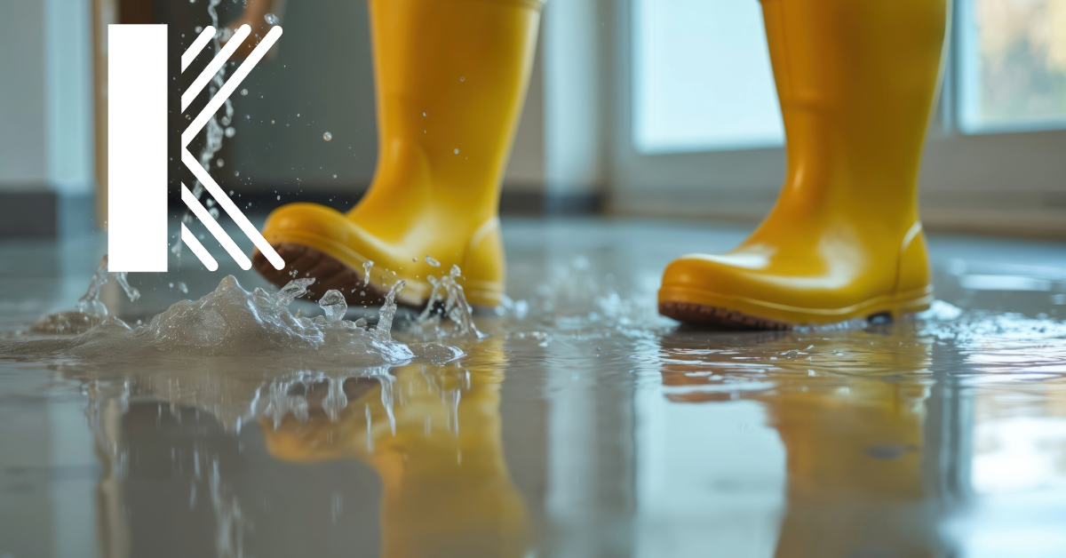 Why Flood Insurance Matters for Veterinary Clinics in Louisiana