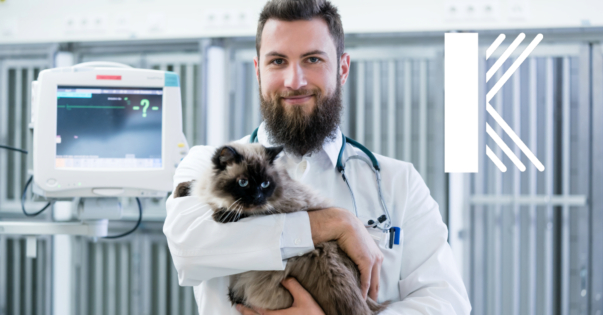 Why Louisiana Veterinary Clinics Need Business Income Insurance