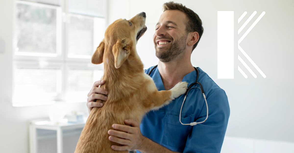 Why Veterinarians in Louisiana Need Professional Liability Insurance