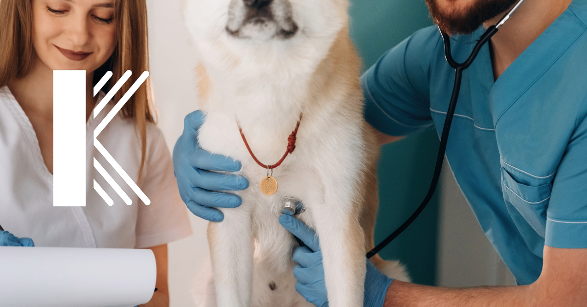 Why Your Louisiana Vet Clinic Needs More Than Just Malpractice Insurance
