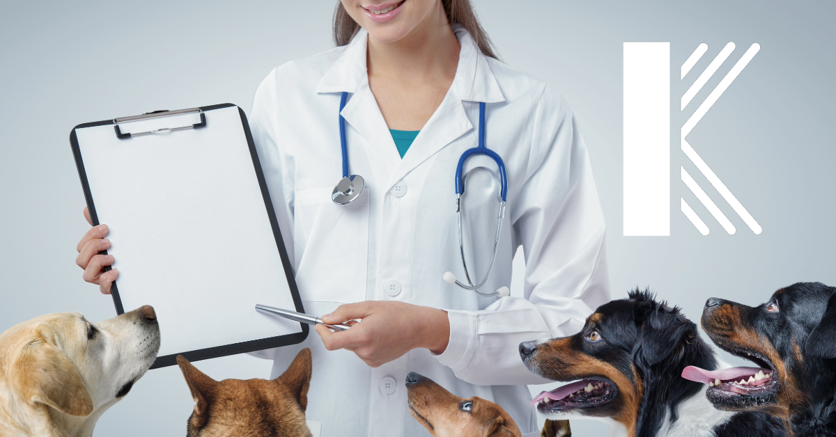 Why Your Veterinary Clinic in Louisiana Needs Animal Bailee Coverage