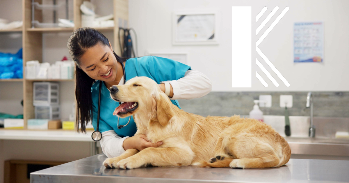 Why Your Veterinary Clinic in Louisiana Needs Employment Practices Liability Insurance