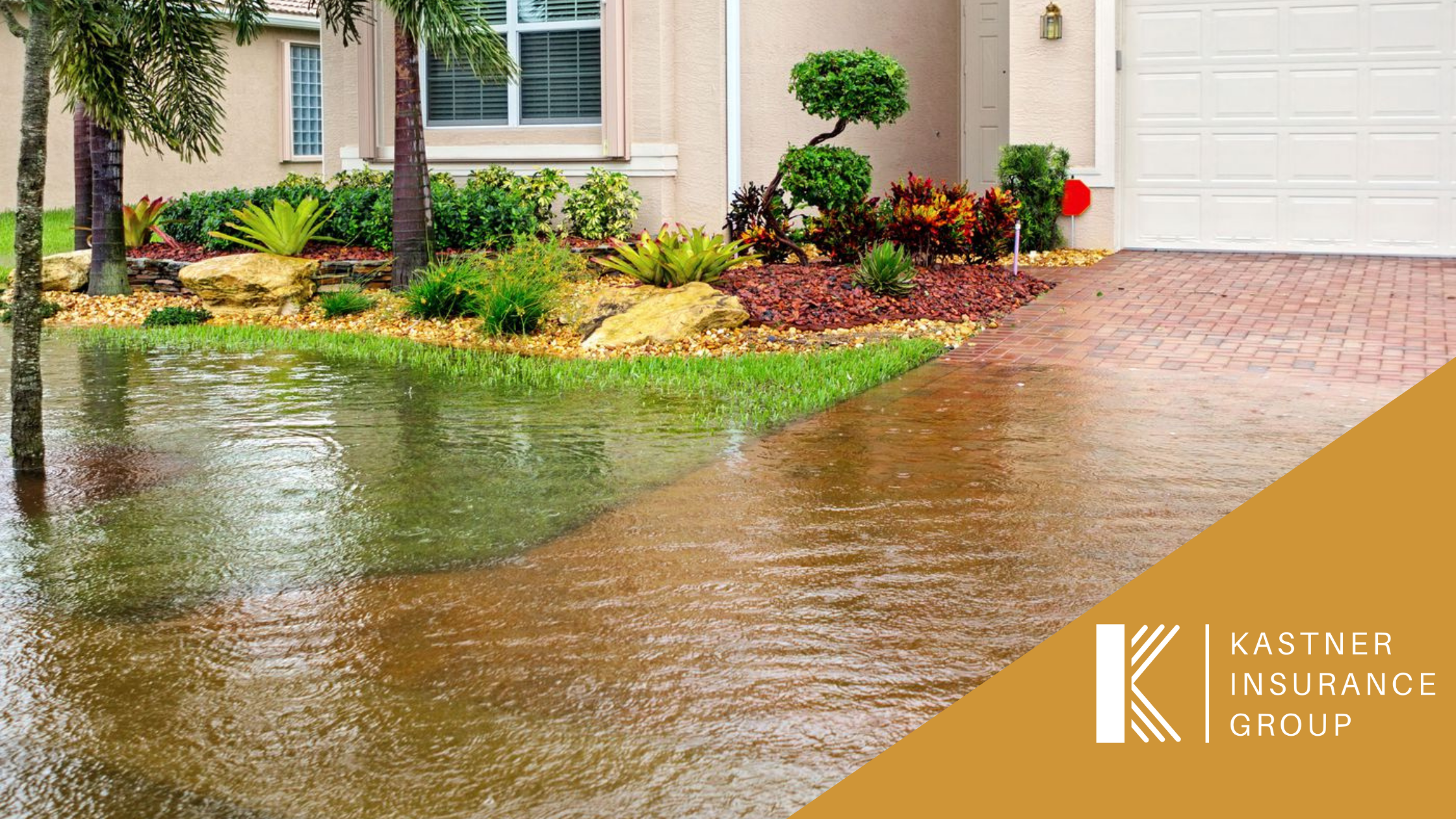 Flood 101: What You Need To Know About Flood Insurance