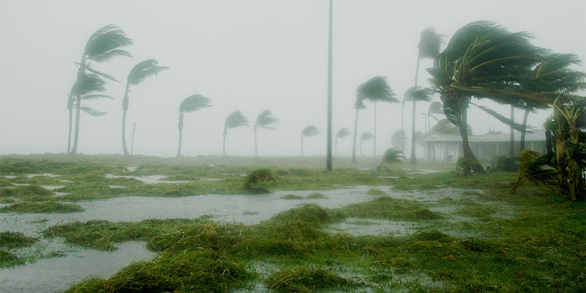 Your Preparation Checklist for the 2023 Hurricane Season
